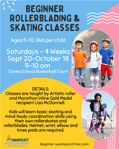 Roller Blade Skate